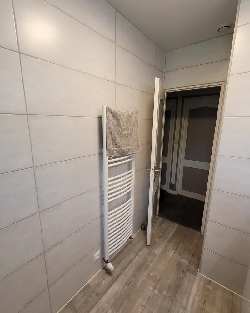 salle de bain 1 (15)-grande