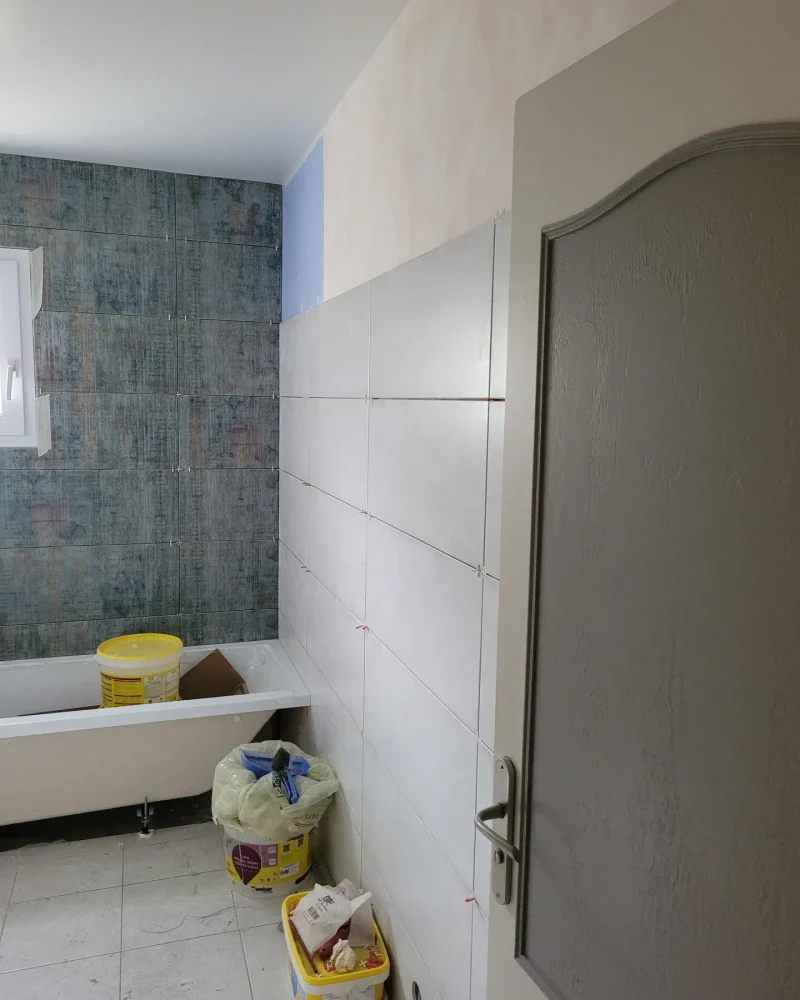 salle de bain 1 (6)-grande