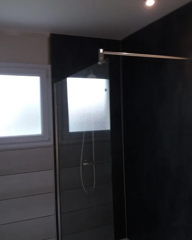 salle de bain 2 (10)-grande